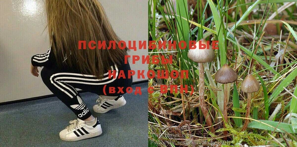 трава Нея