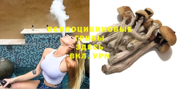 спиды Нефтекумск