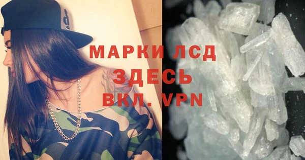 спиды Нефтекумск