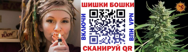 где купить наркотик  Скопин  Бошки Шишки Ganja 